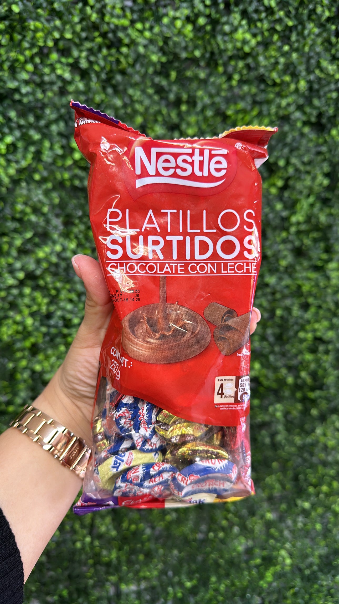 PLATILLOS SURTIDOS - NESTLE