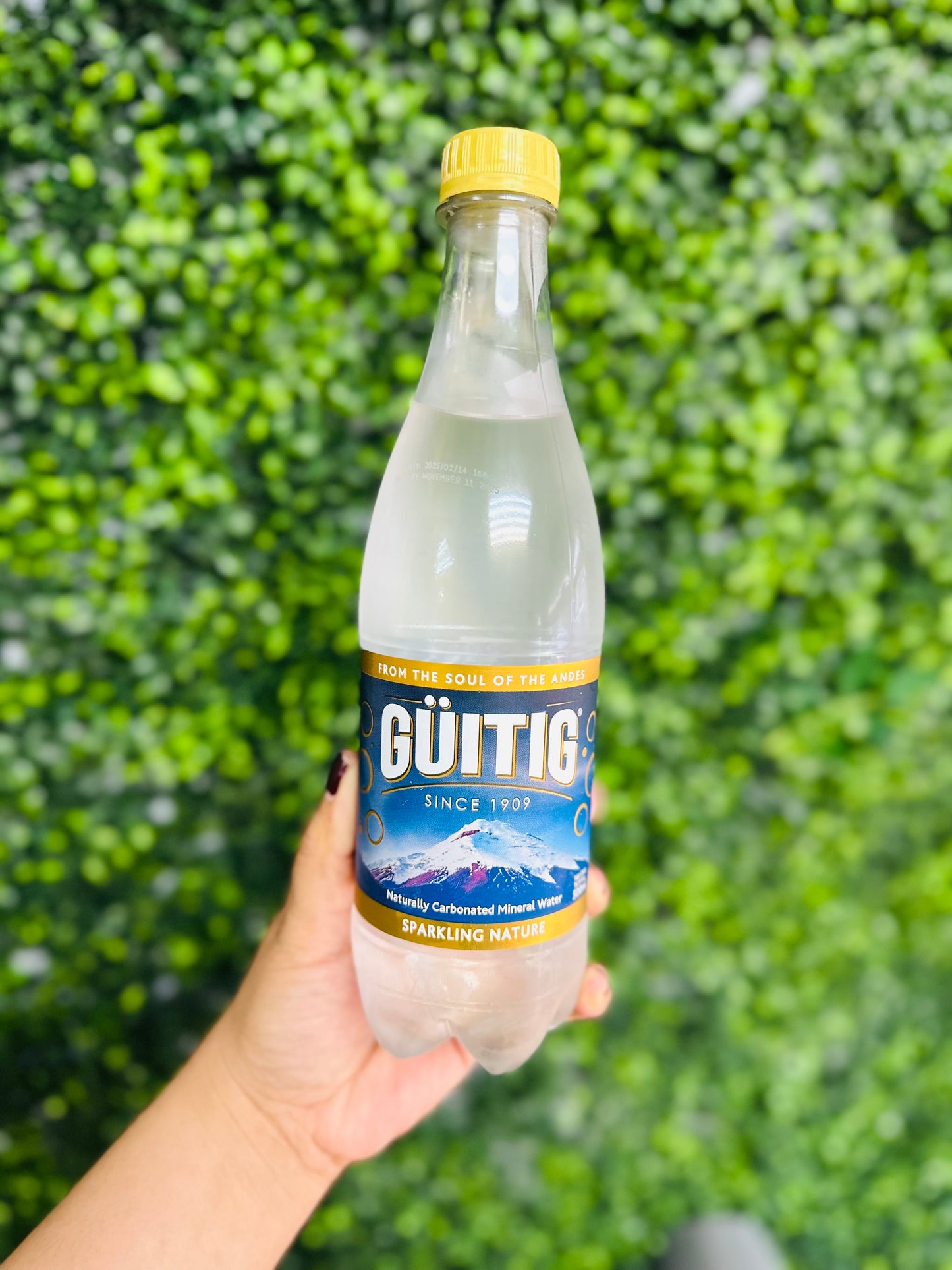 GUITIG -AGUA MINERAL