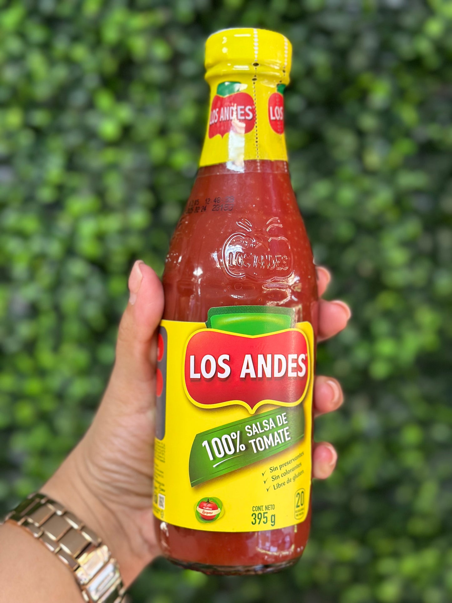 SALSA DE TOMATE LOS ANDES