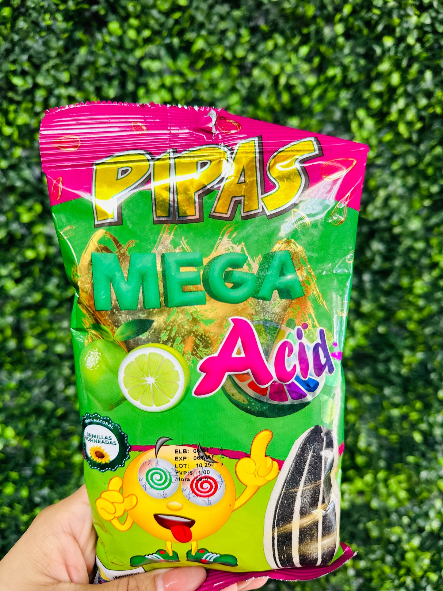 PIPAS - SEMILLAS DE GIRASOL