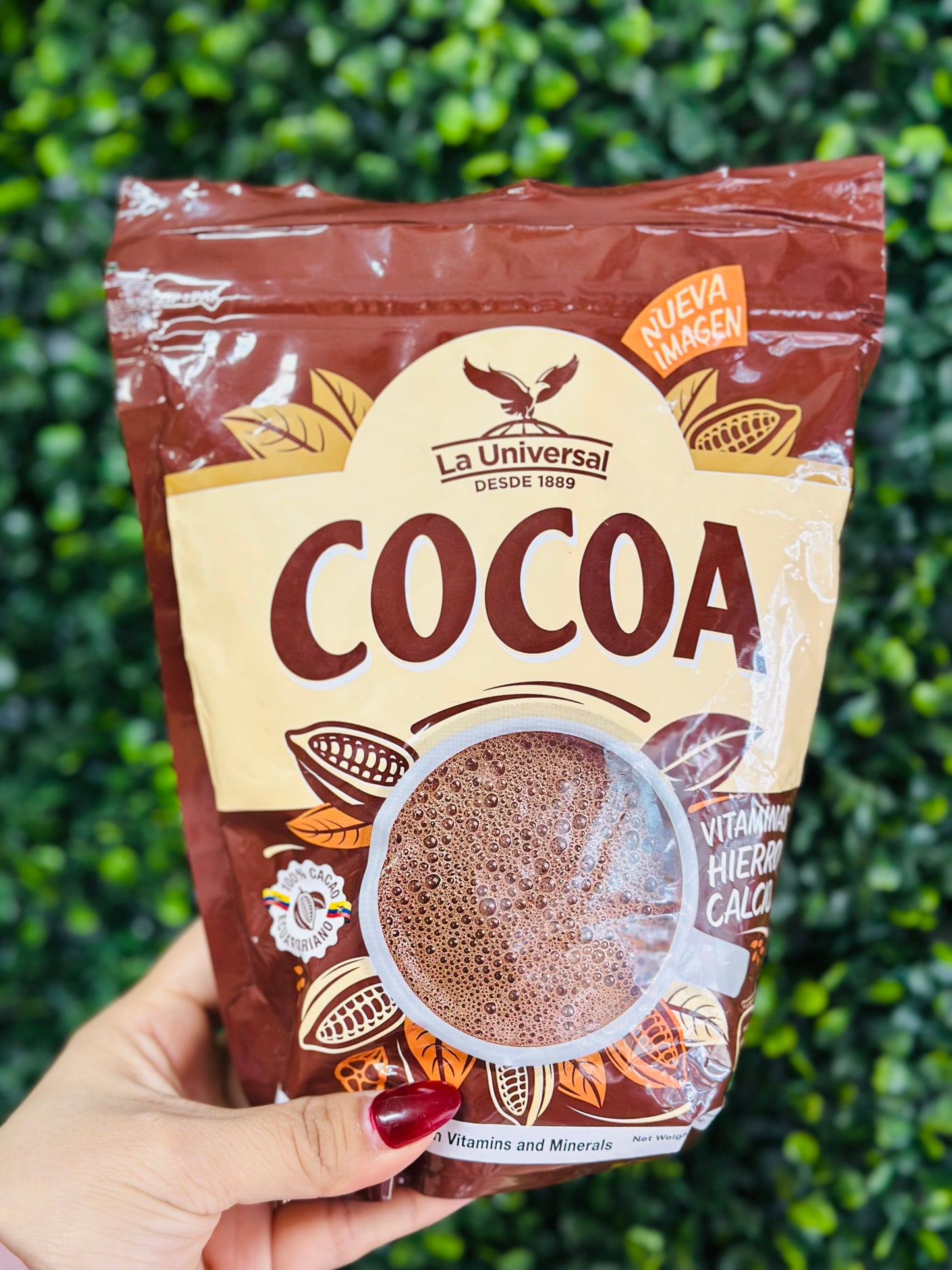 COCOA - LA UNIVERSAL