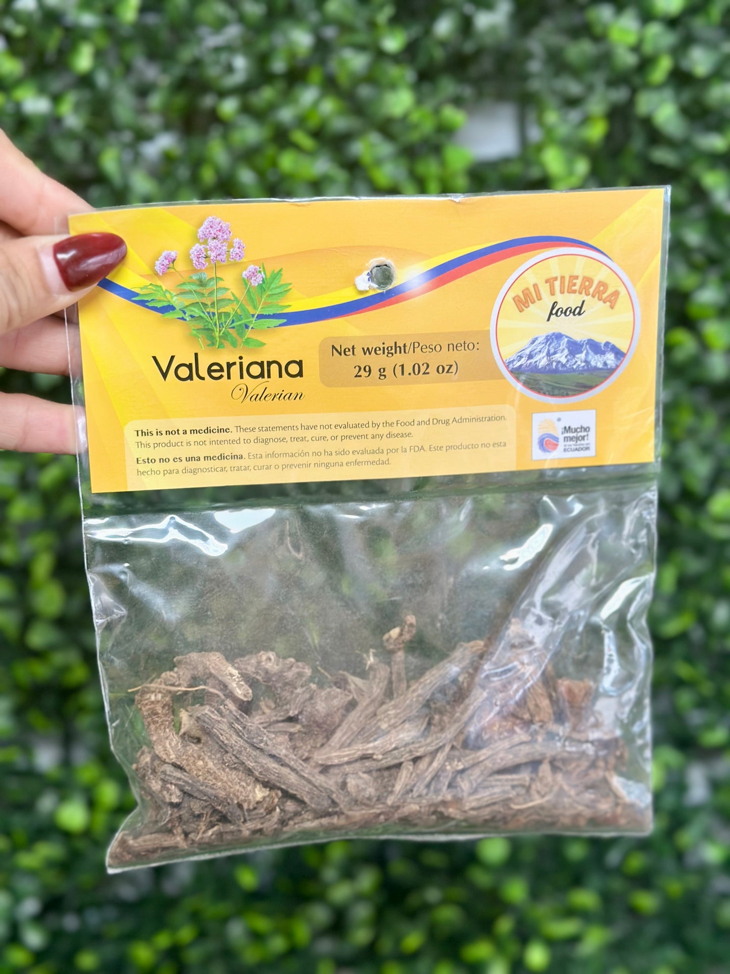 VALERIANA