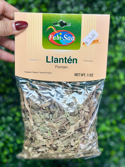LLANTEN