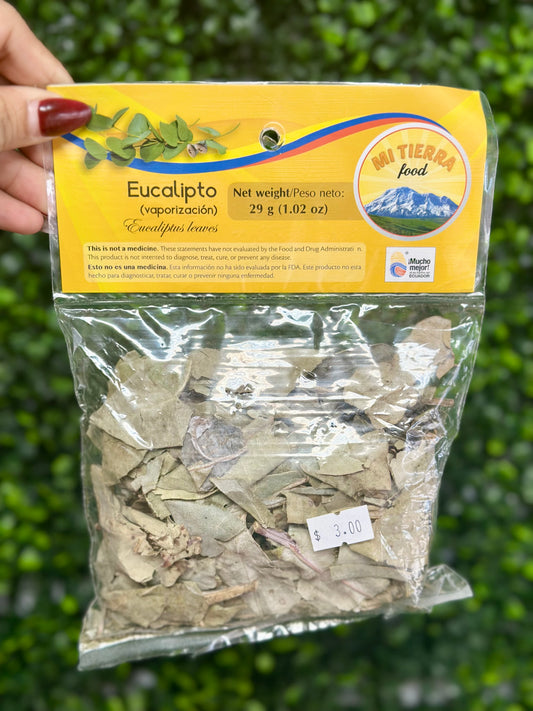 EUCALIPTO